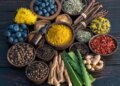 Yogavahi medicines, which double the effect of any herb