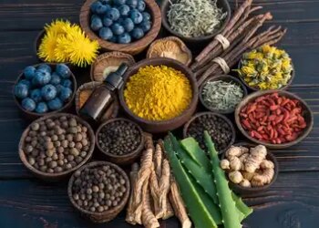 Yogavahi medicines, which double the effect of any herb