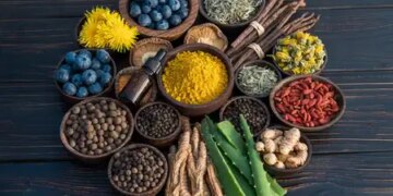 Yogavahi medicines, which double the effect of any herb