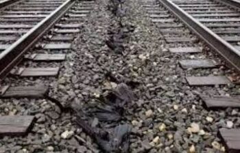82-year-old man jumps in front of moving train before SIR hearing in West Bengal, dies