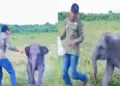 A little elephant was playing catch with a man, this cute video going viral will touch your heart