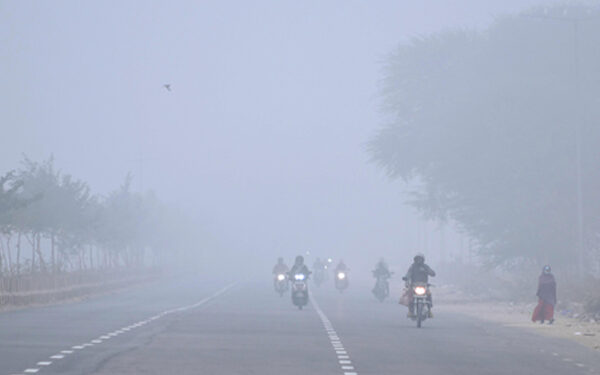 Alert regarding cold in Tamil Nadu, problems will increase due to fog and strong winds for the next two days.