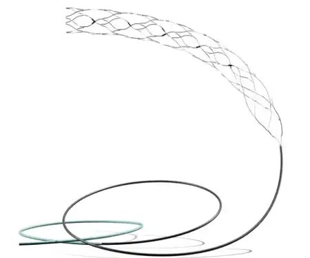 Amazing Make in India: Successful testing of 'Supernova' stent retriever under the leadership of AIIMS