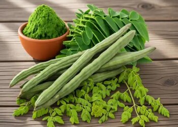 Amazing benefits of Moringa in menopause, reduce mood swings and irritability.