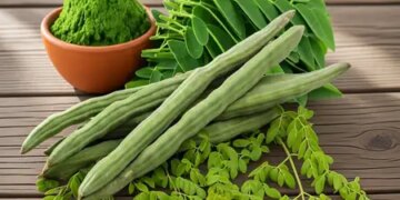 Amazing benefits of Moringa in menopause, reduce mood swings and irritability.