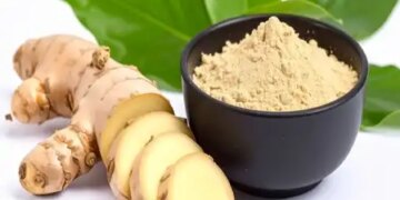 Amba turmeric is much more effective than normal turmeric, named 'medicine' in Ayurveda.