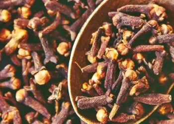 Astrology Tips: Keep cloves in your mouth while leaving home, work will be completed without any hindrance.
