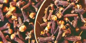 Astrology Tips: Keep cloves in your mouth while leaving home, work will be completed without any hindrance.