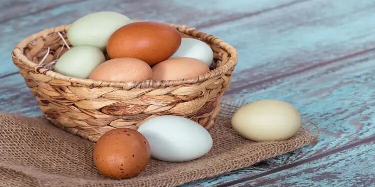 Be careful of egg floating in water! These 3 methods of egg testing will tell the difference between real and fake.