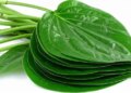 Betel leaf is not ordinary, you get these 7 big benefits by consuming it