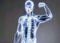 Bone marrow keeps bones strong, Ayurvedic medicines will provide strength