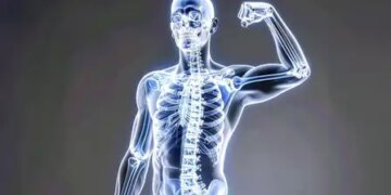 Bone marrow keeps bones strong, Ayurvedic medicines will provide strength