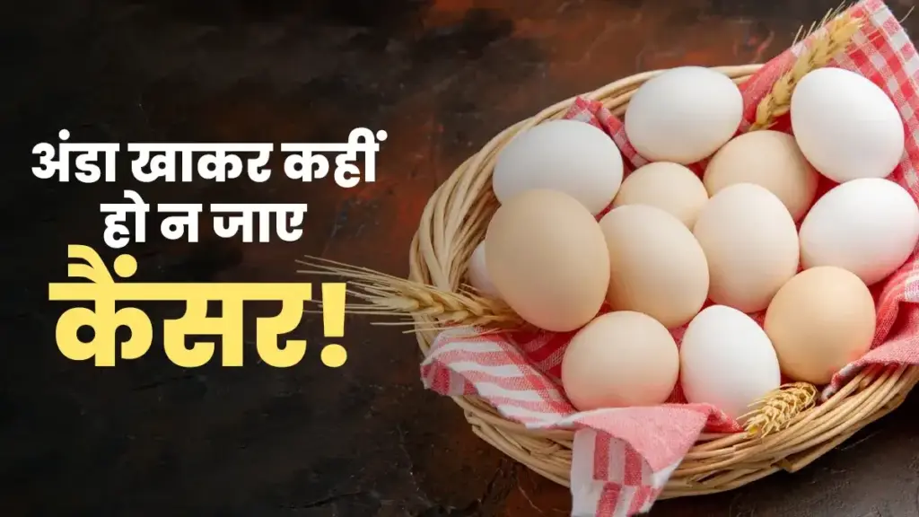 Can I get cancer by eating eggs? Dangerous chemical revealed in lab test, after reading the news you will also become alert