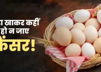 Can I get cancer by eating eggs? Dangerous chemical revealed in lab test, after reading the news you will also become alert