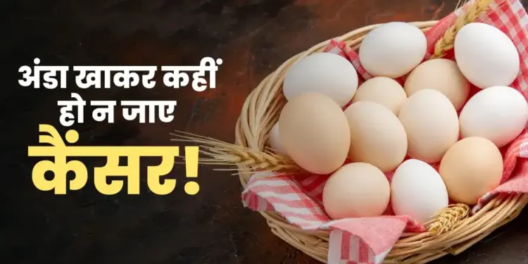 Can I get cancer by eating eggs? Dangerous chemical revealed in lab test, after reading the news you will also become alert