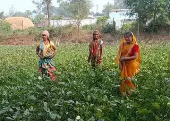 छत्तीसगढ़: गरियाबंद में लखपति दीदी योजना से लाखों कमा रहीं ग्रामीण महिलाएं