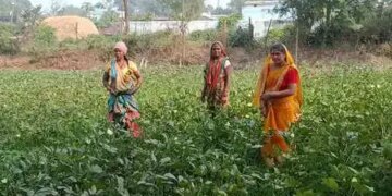 छत्तीसगढ़: गरियाबंद में लखपति दीदी योजना से लाखों कमा रहीं ग्रामीण महिलाएं