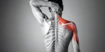 Combo of Calcium and Vitamin D is lifesaver for the spine, know why it is important to take both together?