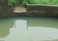 Contaminated well water increases concern in Chhindwara, 60 people fall ill, what is the reason?