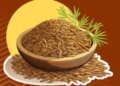 Cumin kept in the kitchen boosts immunity by removing the problem of indigestion.