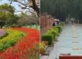 Delhi: Atal Garden will be built on 50 acres on the banks of Najafgarh drain in Uttam Nagar, CM laid the foundation.