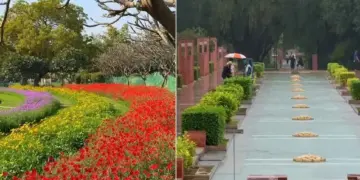 Delhi: Atal Garden will be built on 50 acres on the banks of Najafgarh drain in Uttam Nagar, CM laid the foundation.