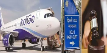 Delhi High Court On Indigo Airlines Crisis: Delhi High Court expresses strong displeasure over Indigo airline crisis, questions central government, Delhi High Court expresses strong displeasure over Indigo airline crisis, questions central government