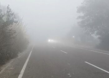 Dense fog and severe cold in Bayana, life affected