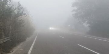 Dense fog and severe cold in Bayana, life affected