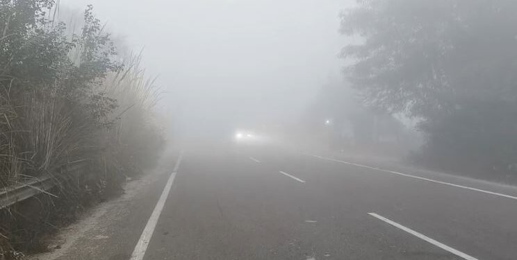 Dense fog and severe cold in Bayana, life affected