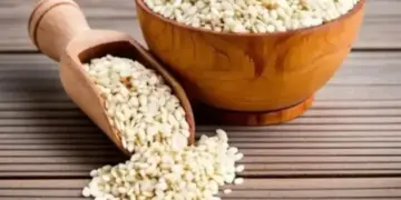 Eating sesame daily in winter gives amazing benefits, takes care of the heart.
