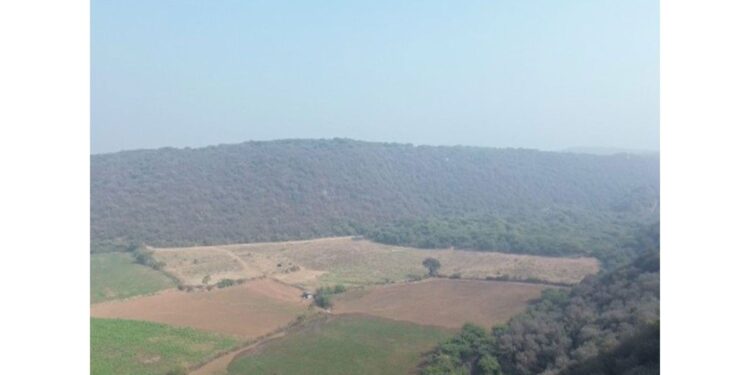 Environment Minister Bhupendra Yadav expressed the Centre's commitment to protect Aravali, Congress accused it of destroying the ecosystem.