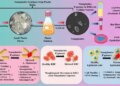 Evidence found of harm caused to the body by single use plastic