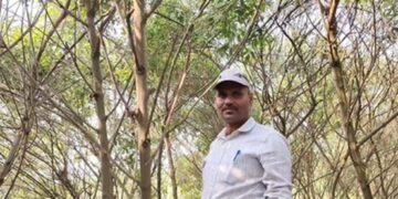 Farmer Amarendra earned three lakh rupees from Arhar dal, inspired by the government scheme, he did successful farming in Kosi area.