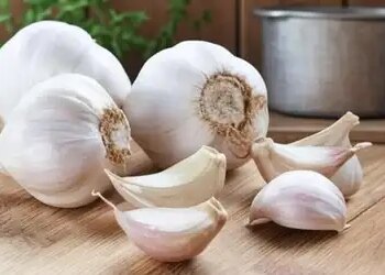 Garlic helps in controlling blood sugar, very beneficial for diabetic patients.