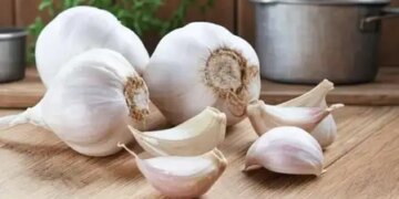 Garlic helps in controlling blood sugar, very beneficial for diabetic patients.