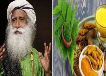 Health will remain strong in winter, immunity booster drinks suggested by Sadhguru will keep cold and cough away.