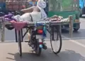 Here brother, here is Samapan-e-Bihar, after watching the video the mind will definitely be shaken.