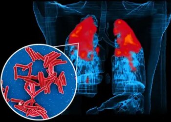 IIT Bombay study reveals how TB bacteria 'cheat' antibiotics