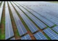 India to add record 44.5 GW renewable energy capacity in 2025: Center