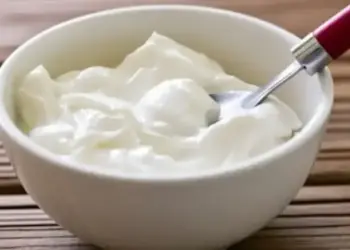 Is eating curd beneficial or harmful in winter? Know the answers to the most important questions