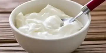 Is eating curd beneficial or harmful in winter? Know the answers to the most important questions