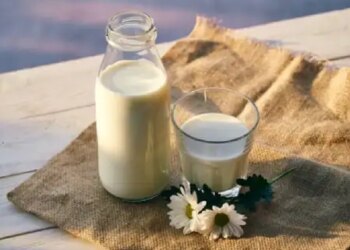 Is it okay to give milk to children daily? It is also important to know the right time and quantity
