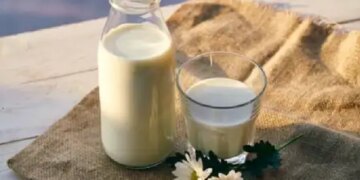 Is it okay to give milk to children daily? It is also important to know the right time and quantity