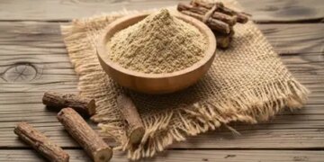 Liquorice is special among grandmothers' remedies, know how it gives relief in throat and shortness of breath.
