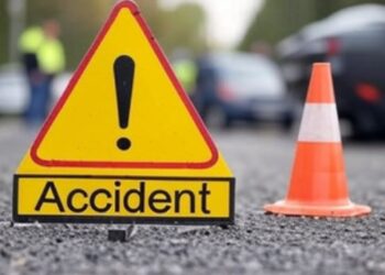 Madhya Pradesh: Bridge collapsed in Raisen district, person seriously injured