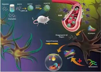 Mohali scientists made nanoparticle medicine from green tea, will simultaneously attack the symptoms of Alzheimer's