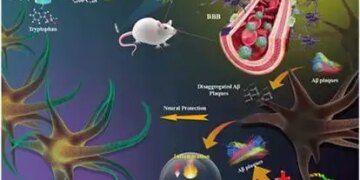 Mohali scientists made nanoparticle medicine from green tea, will simultaneously attack the symptoms of Alzheimer's