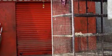 New outbreak of bird flu in Kerala, confirmed at many places in Alappuzha and Kottayam districts