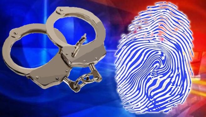 Noida Police busts mobile theft and snatching gang, electronic goods worth Rs 2 crore recovered